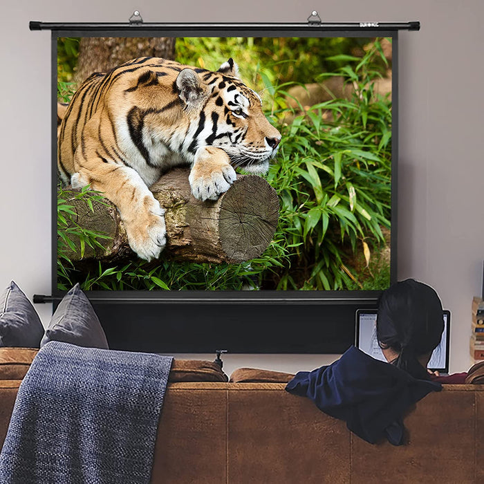 Duronic BPS60 /43 Ecran de Projection avec Barres et Crochets pour vidéoprojecteur - Toile de 60 Pouces ou 152 cm (122 x 91 cm)
