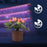 Duronic GLC36 Lampe de croissance horticole triple à pince 60W | Ampoules LED | 3 modes : bleu, rouge, mixte | Intensité ajustable | Prise USB | Lumière de culture pour plante fruit légume fleur herbe
