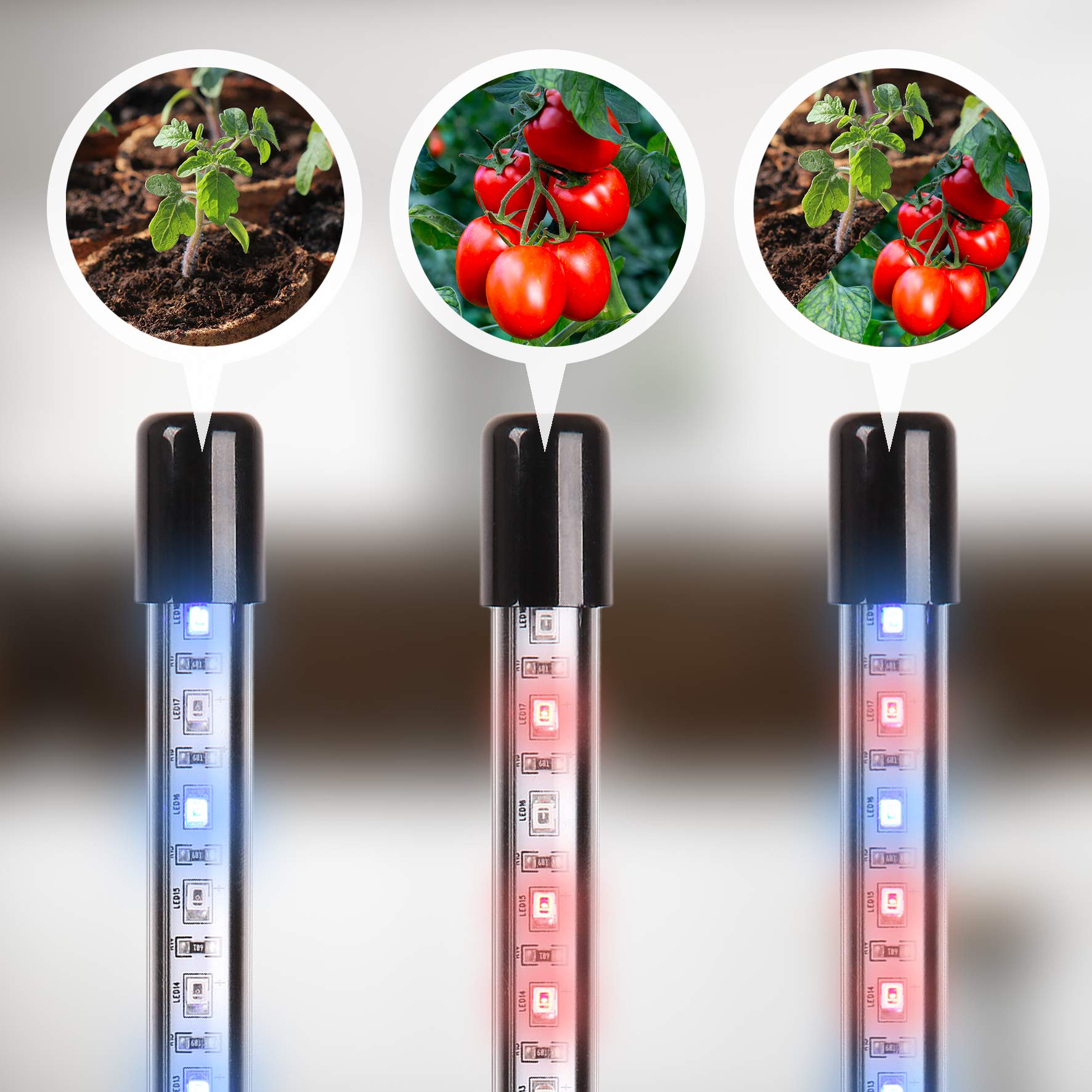 Duronic GLC36 Lampe de croissance horticole triple à pince 60W | Ampoules LED | 3 modes : bleu, rouge, mixte | Intensité ajustable | Prise USB | Lumière de culture pour plante fruit légume fleur herbe