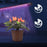 Duronic GLC12 Lampe de croissance horticole à pince 20W | Ampoules LED | 3 modes : bleu, rouge, mixte | Intensité ajustable | Prise USB | Lumière de culture pour plante fruit légume fleur herbe