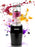 Duronic BL510 Mini Blender 500W | 570 ml | Sans BPA | Pour Smoothies Shakes protéinés Nourriture pour bébé Jus de fruits ou légumes Milkshakes Cocktails Sauces Purées