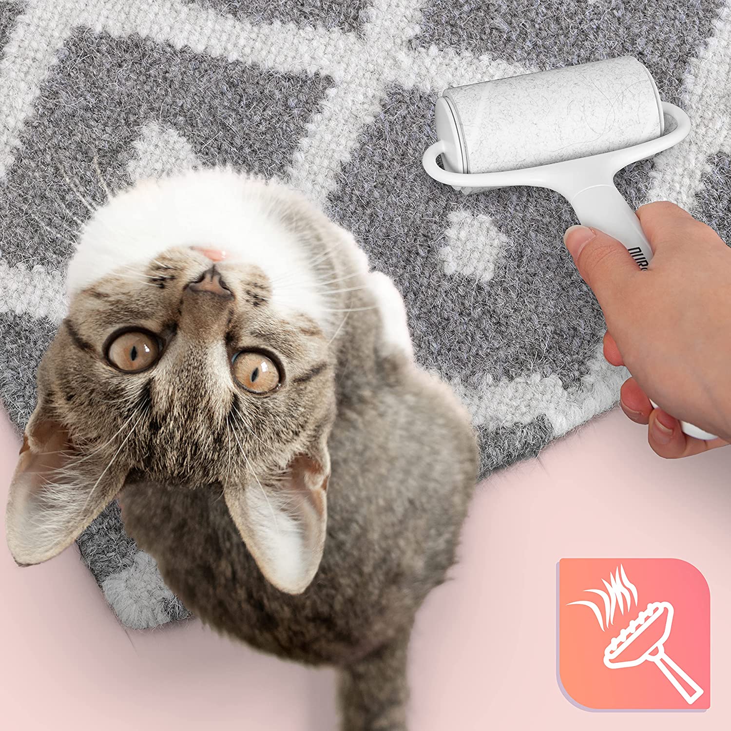 Duronic ROLL2X4 Set de 2 Rouleaux ramasse poils avec 4 Recharges de Bandes adhésives | Anti peluches | Pour les Vêtements Poils d'Animaux Tissus d'Ameublement